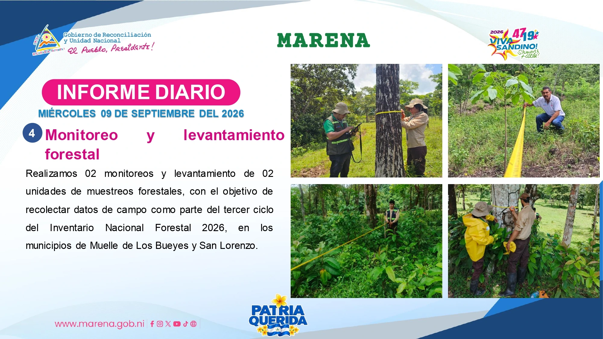 MARENA4