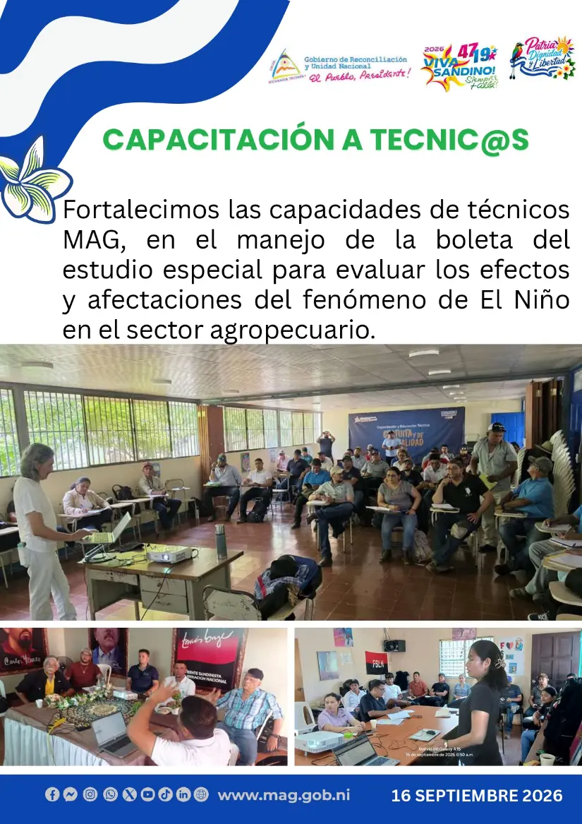 MAG--(4)