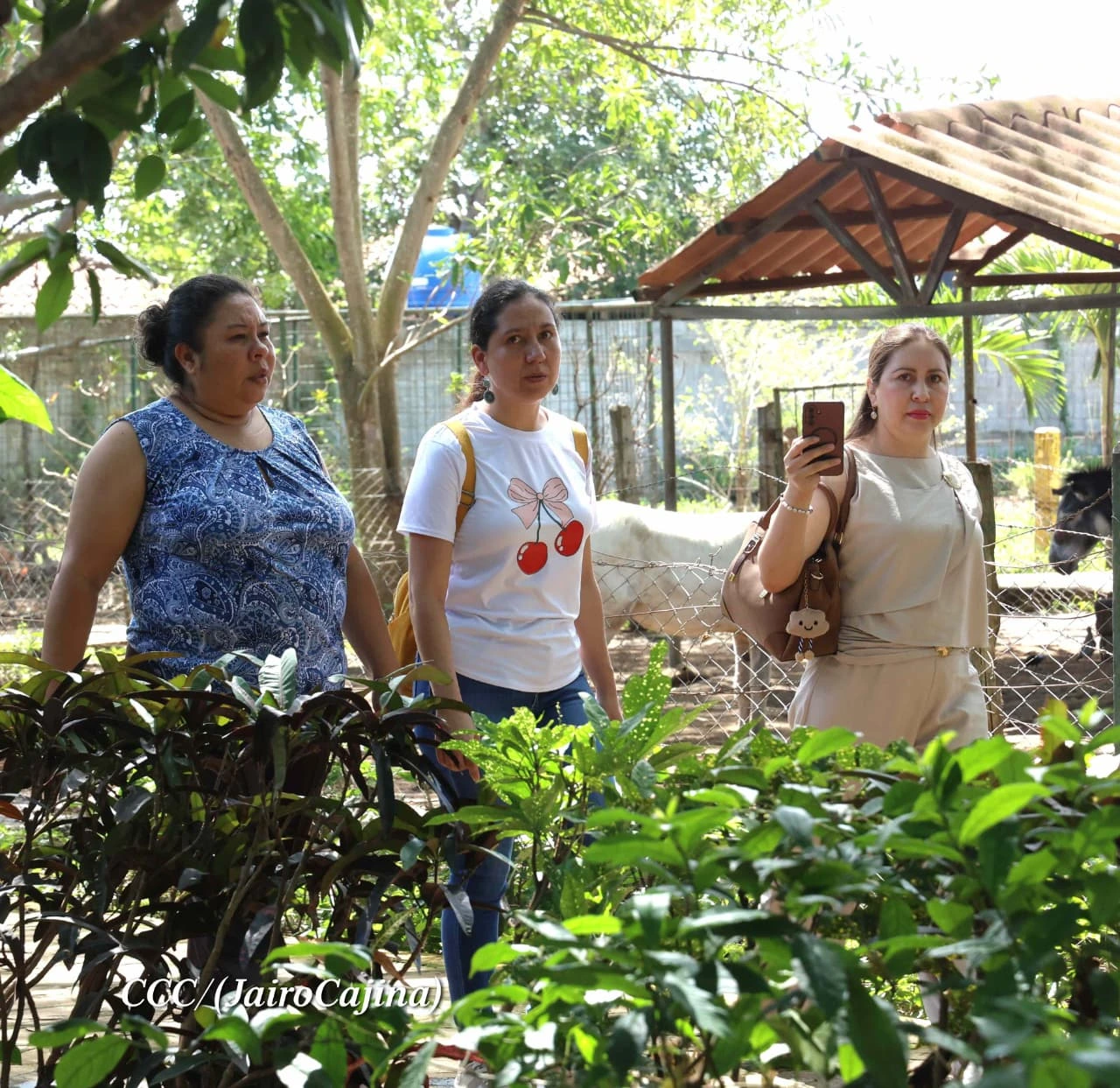 ZOOLOGICO12