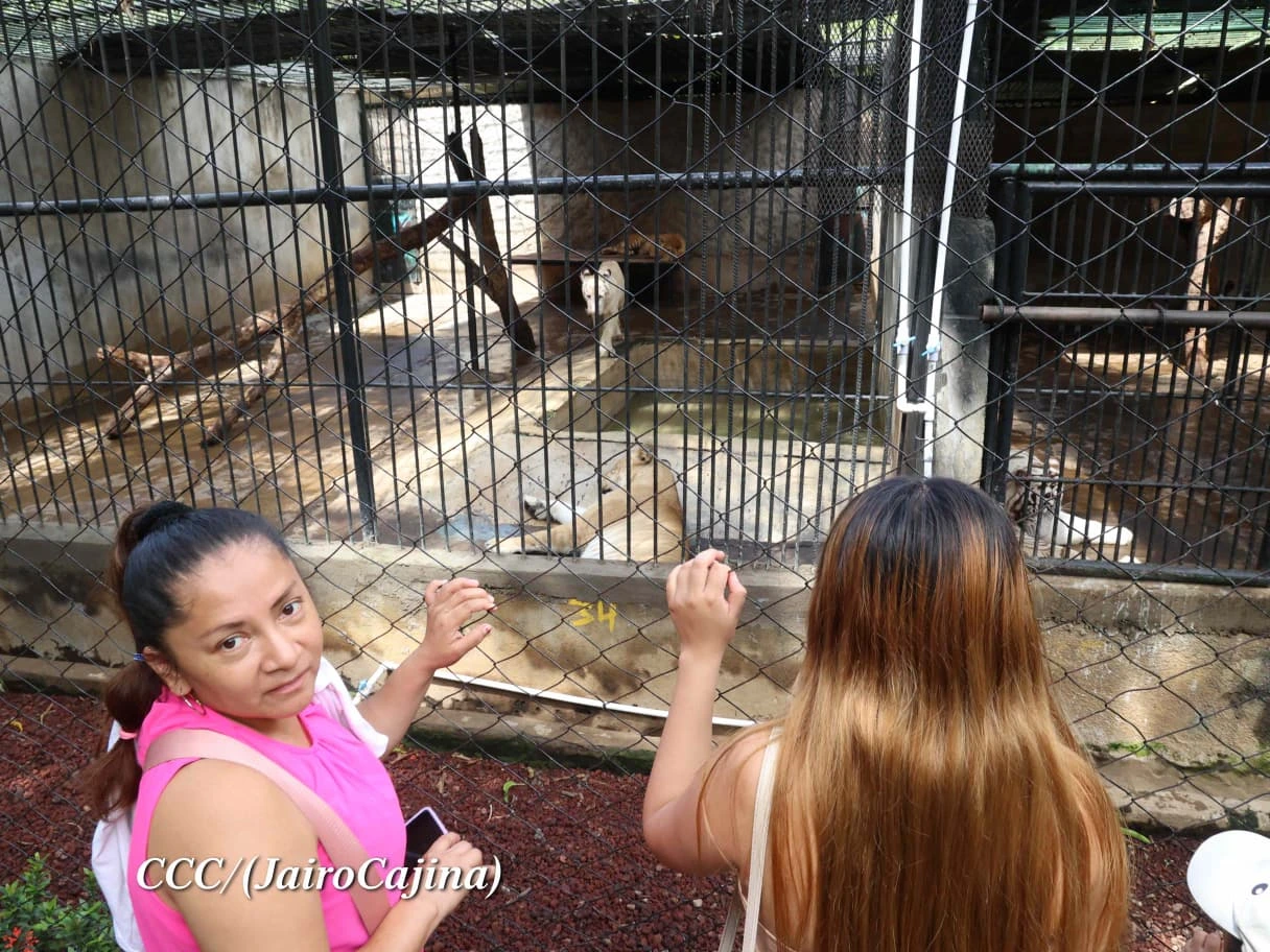 ZOOLOGICO18