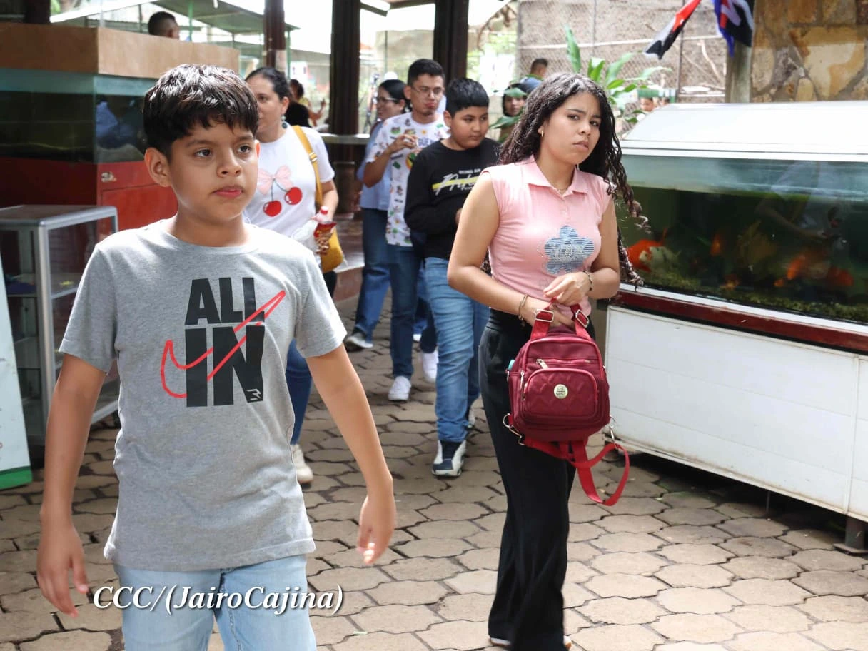 ZOOLOGICO28