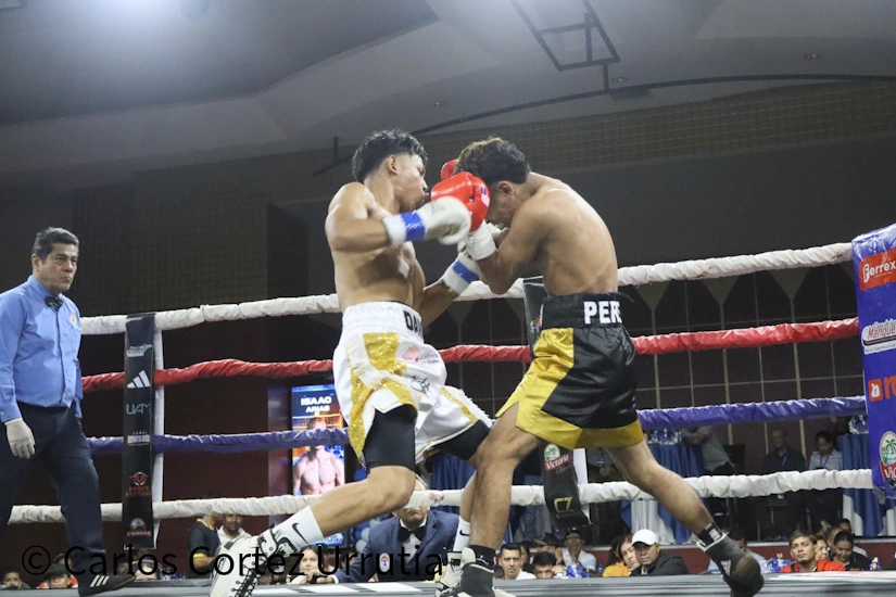 BOXEO-(12)