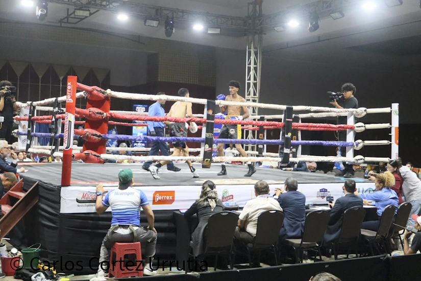 BOXEO-(16)