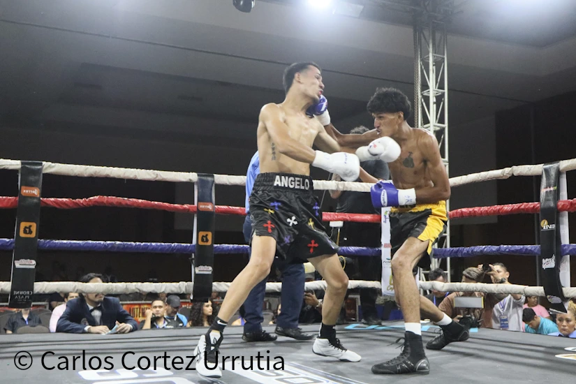 BOXEO-(3)