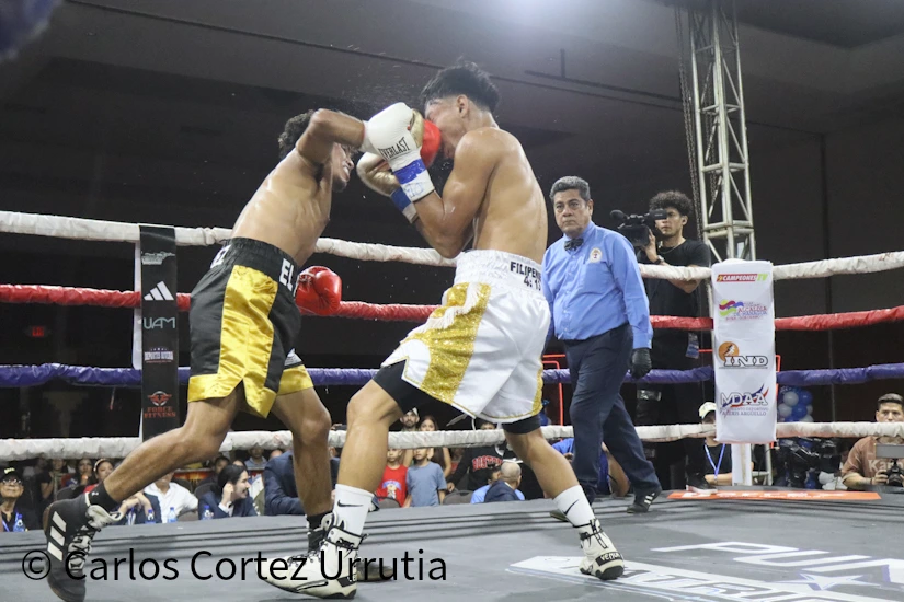 BOXEO-(8)
