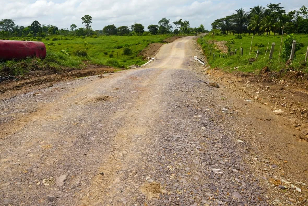 CAMINOS11