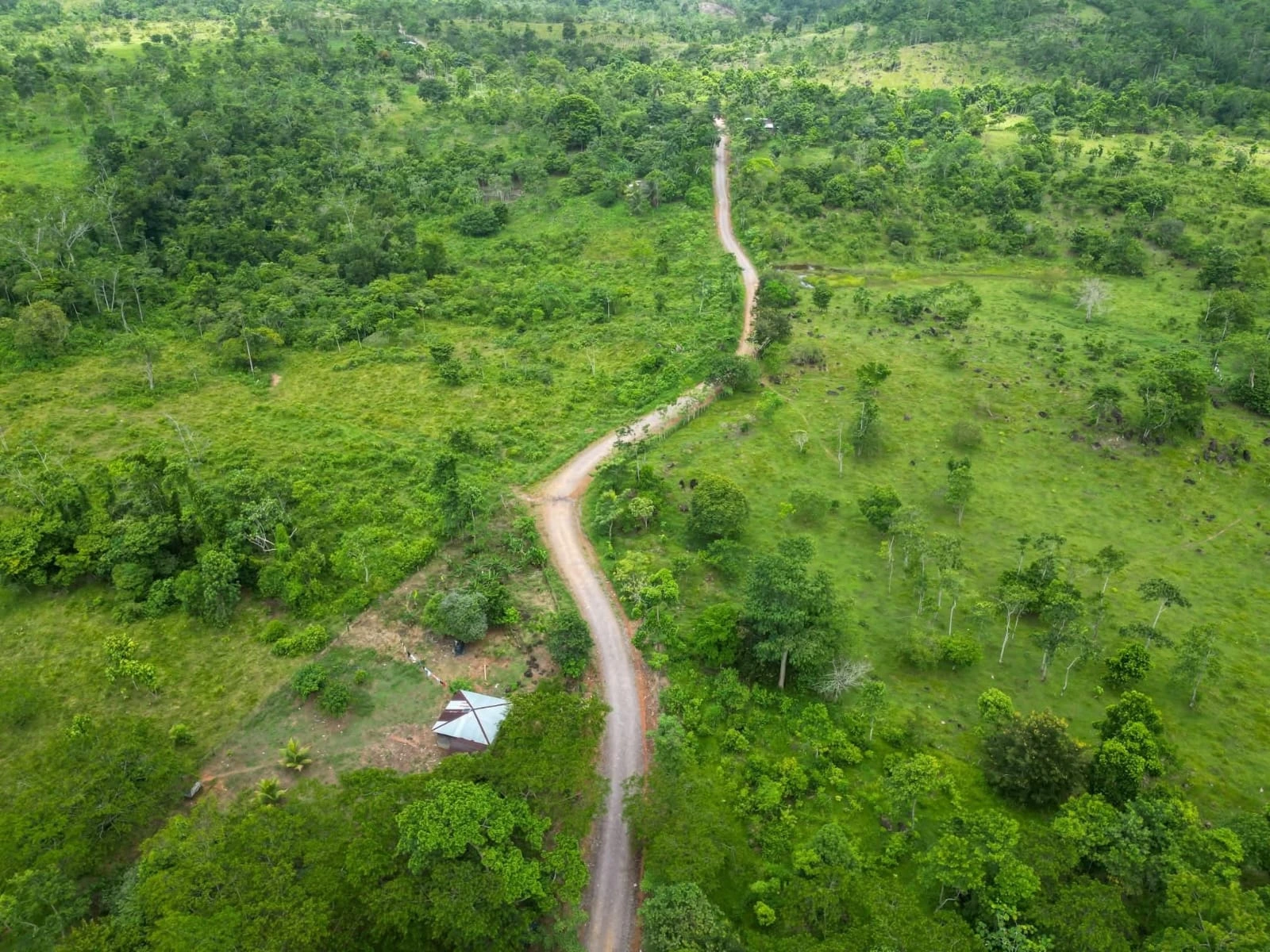 CAMINOS12