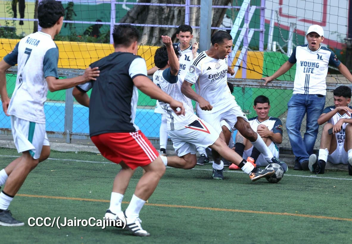 COPA-(2)