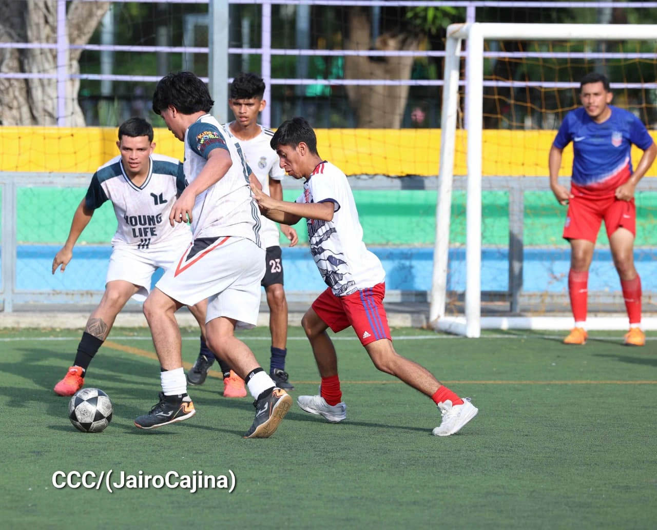 COPA-(4)