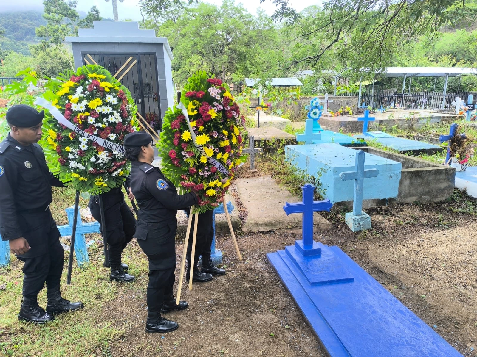 ESTELI-(16)