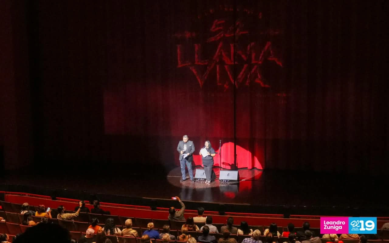 LLAMA-VIVA31
