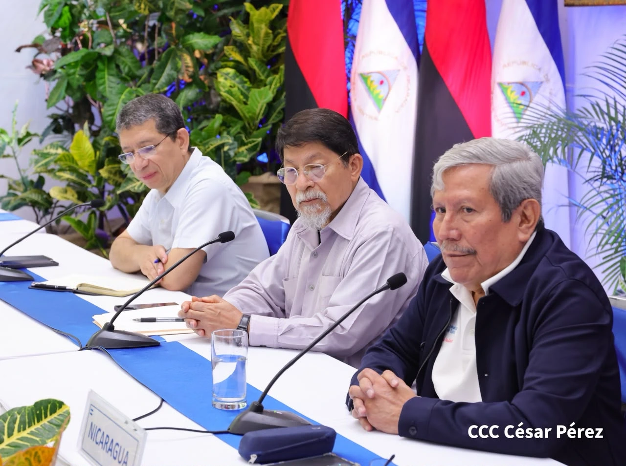 CANCILLERIA6