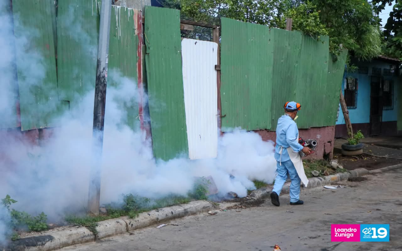 FUMIGACION-1