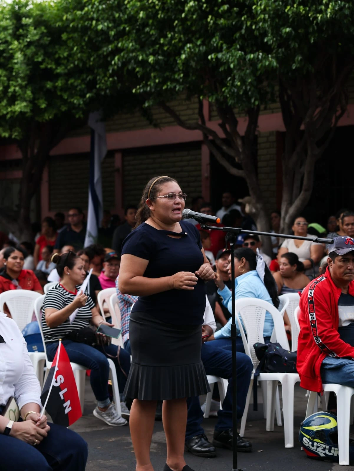 CONSULTA-(21)
