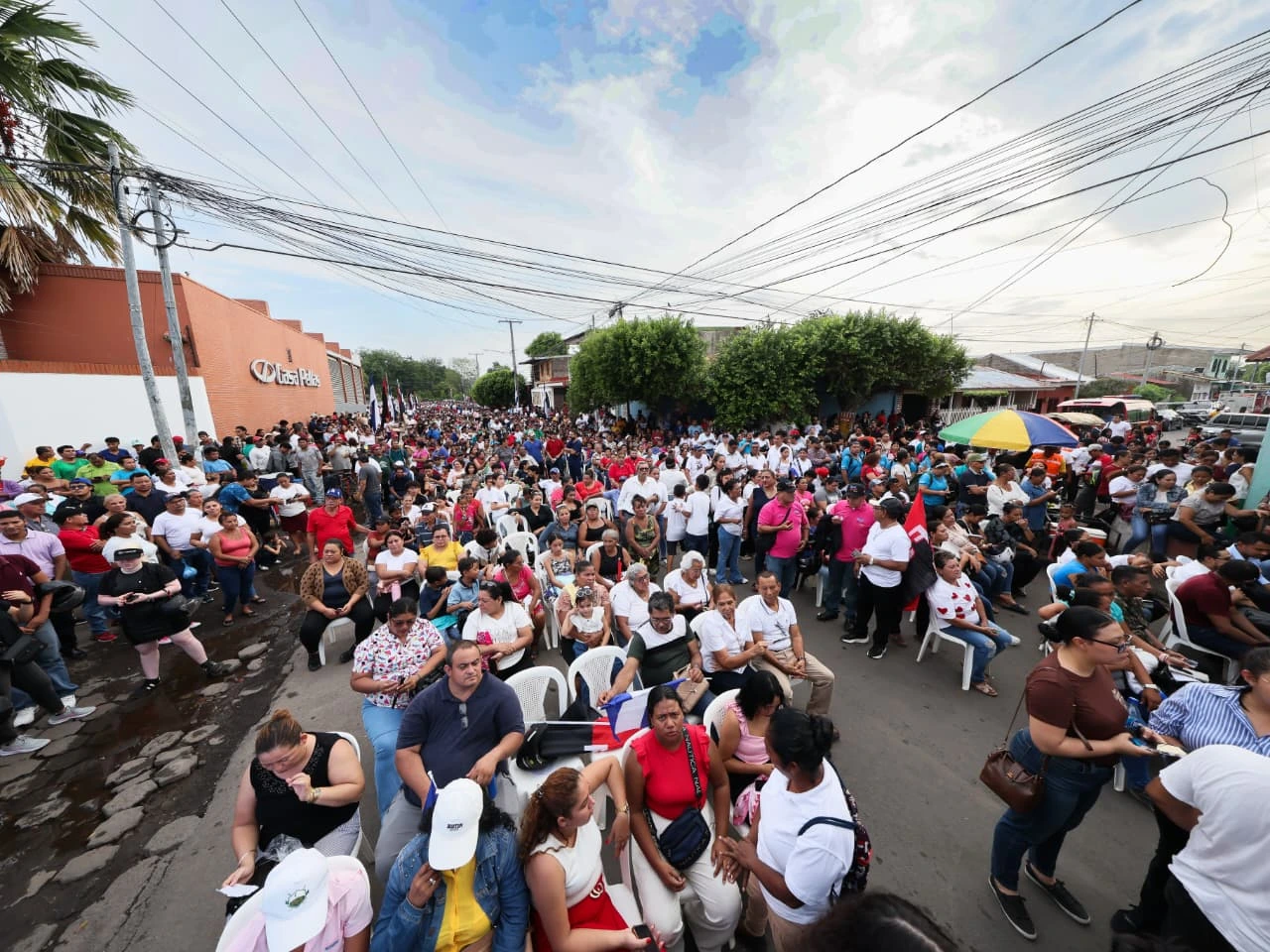 CONSULTA-(25)