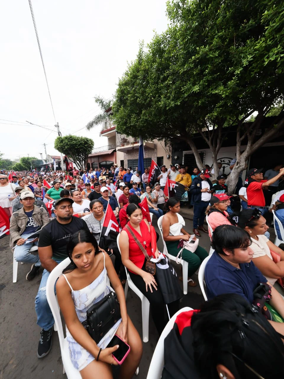 CONSULTA-(35)