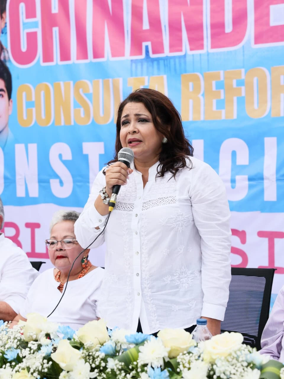 CONSULTA-(38)
