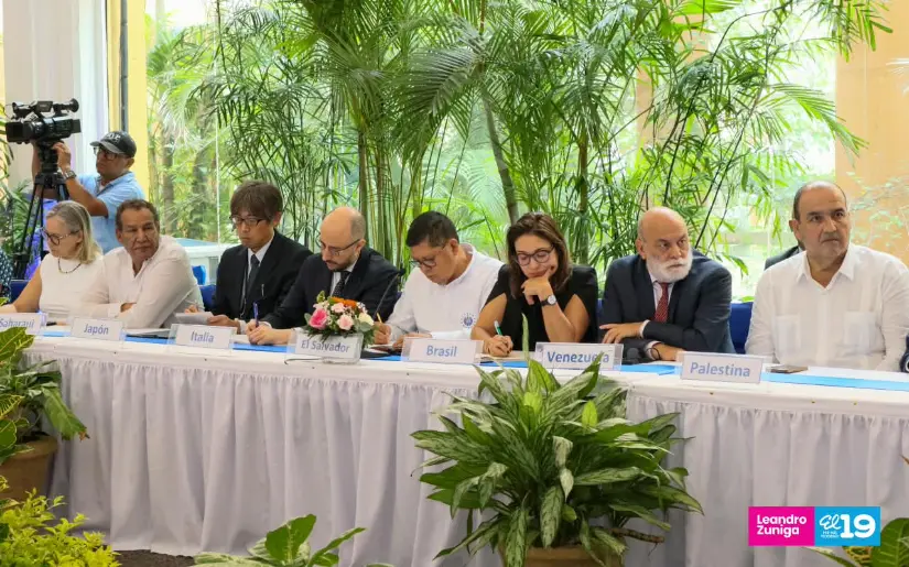 Consulta-32