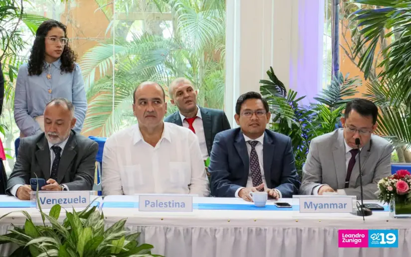Consulta-63