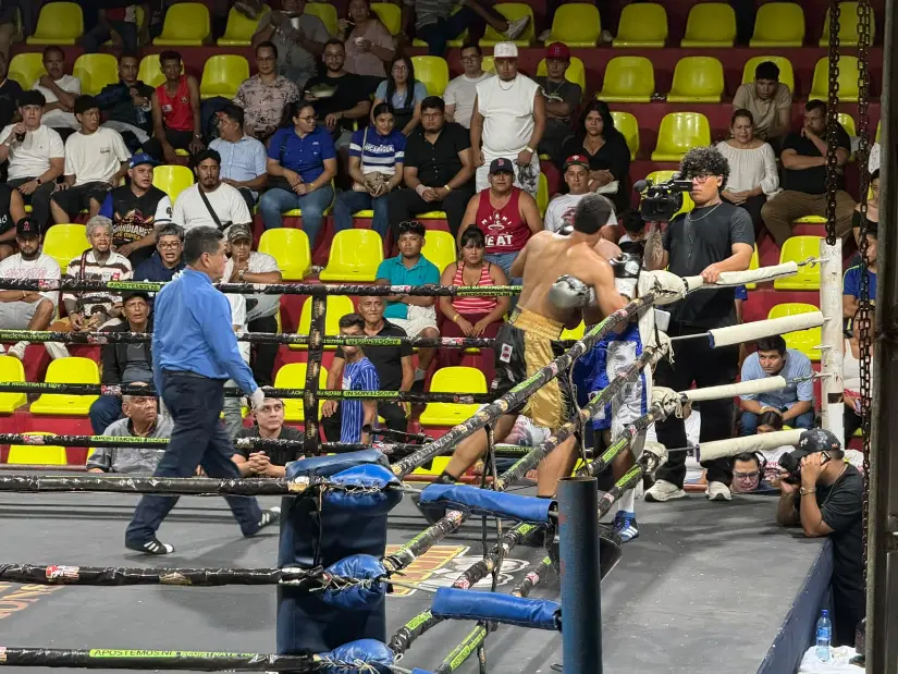 BOXEO--(12)