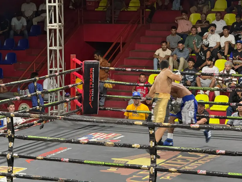 BOXEO--(15)