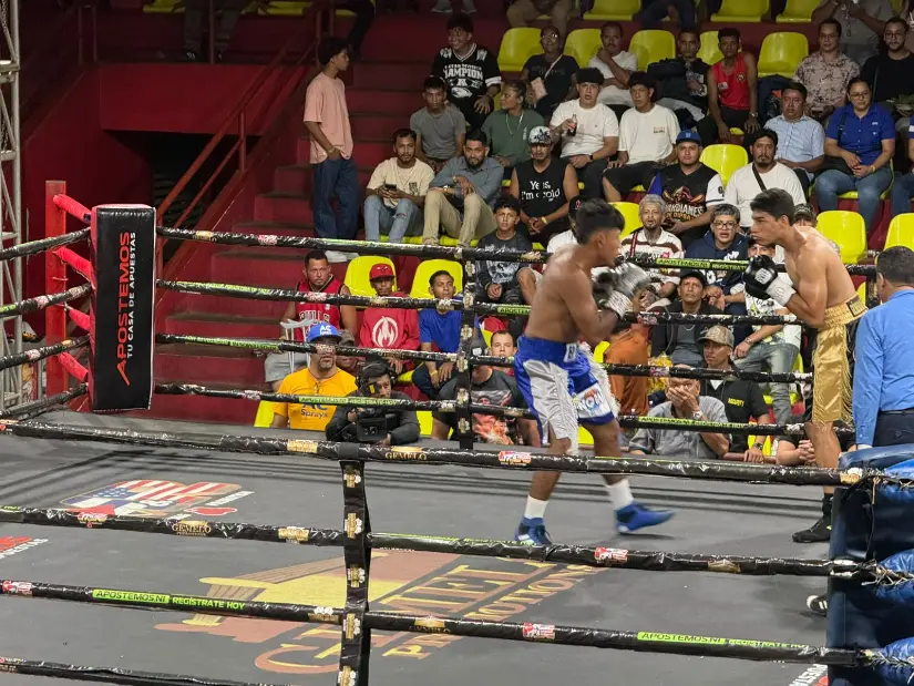 BOXEO--(18)