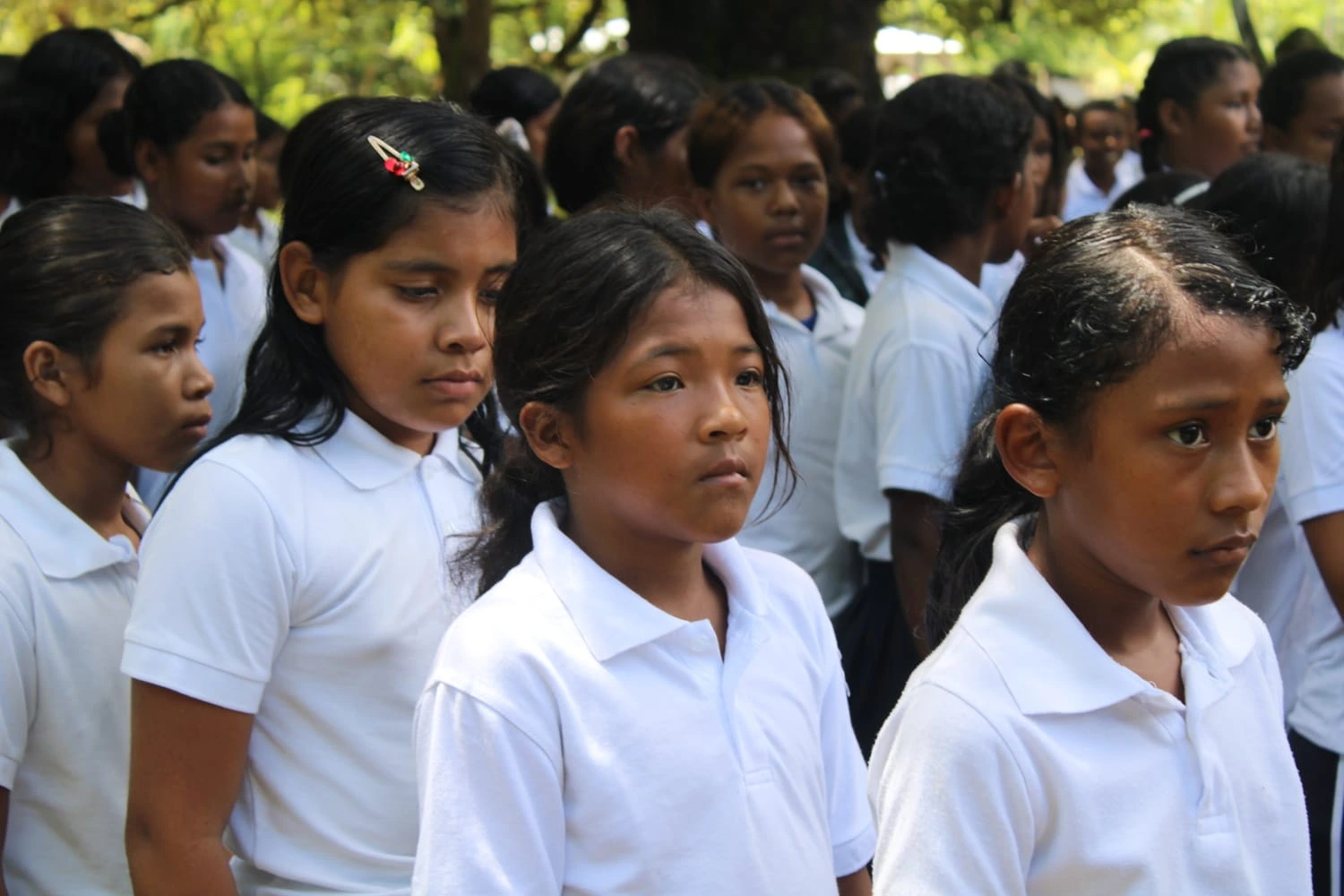 ESCUELA16