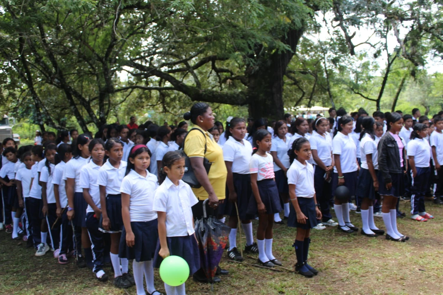 ESCUELA20